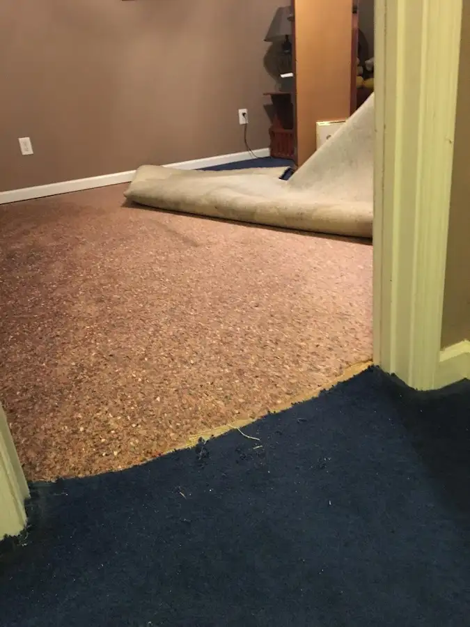 Carpet pad removal revealing water damage during Drying & Dehumidification in Orchards