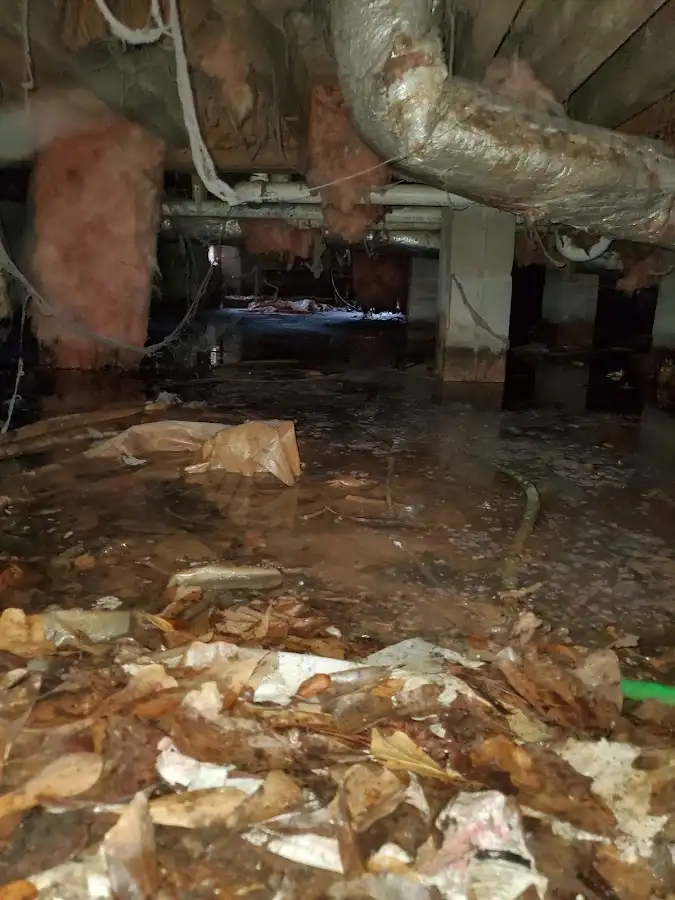 Crawl space flood assessment for Commercial Water Damage Restoration in Orchards