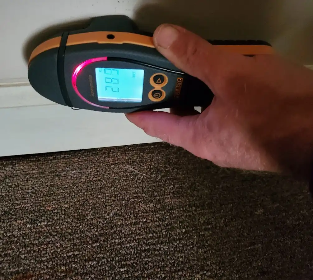 Moisture detection at baseboard during Mold Inspection & Testing in Orchards